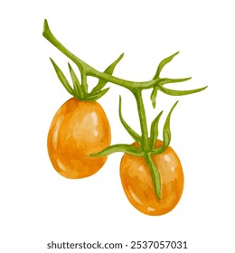 Ramitas jugosas y maduras de verduras de tomate cherry.Vector.