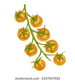 Ramitas jugosas y maduras de verduras de tomate cherry.Vector.