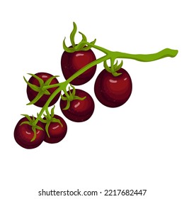 Jugoso tomate de verduras maduras. Gráficos vectoriales.