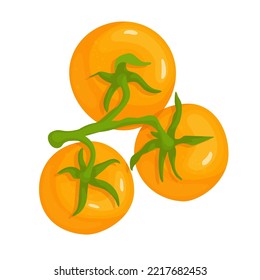 Juicy ripe vegetable tomato. Vector graphics.