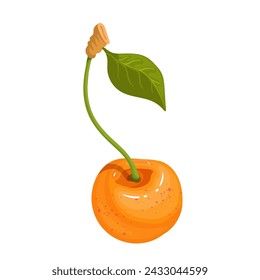 Juicy, ripe yellow cherries. Vector graphics.