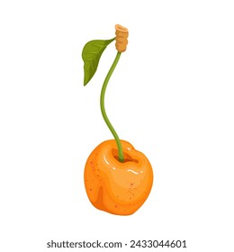 Juicy, ripe yellow cherries. Vector graphics.