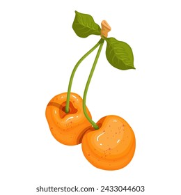 Juicy, ripe yellow cherries. Vector graphics.