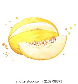 juicy ripe yellow sweet melon watercolor ilustration