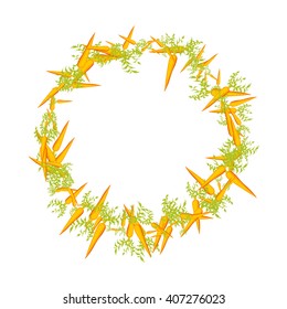 juicy round frame of carrot.