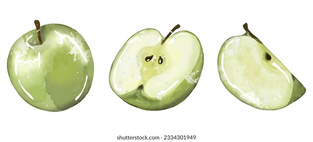Juicy shiny green apple on a white background. Freehand drawing. A whole green apple, half an apple and an apple slice on a white background. Fruit for designs, patterns, labels.