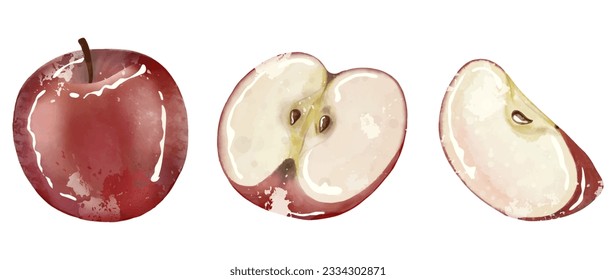 Juicy shiny red apple on a white background. Freehand drawing. A whole red apple, half an apple and an apple slice on a white background. Fruit for designs, patterns, labels.