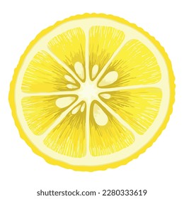 Juicy sour limón. Una rebanada de limón crudo y maduro, una adición perfecta a la limonada. Cítricos sanos, dibujo de vitamina C. Vector, realista, ilustración