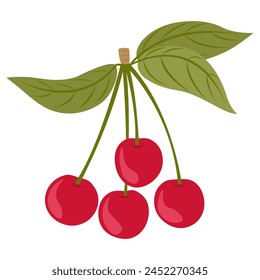 Juicy sprig of four cherry berries with green leaves on a white background. Berry vector illustration in flat style for children's book, print, clothing decor