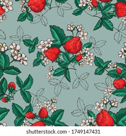 Fresas jugosas sin fisuras. Berries, flores y hojas. Para el diseño de envases, comida y jugos sabrosos y saludables. Estilo Doodle. Ilustración vectorial.