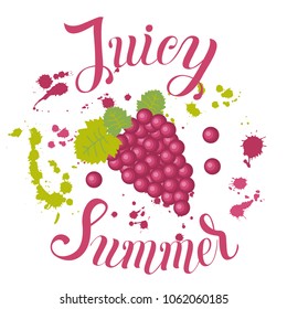 Juicy Summer inscription on the background with grape and splashes. Vector illustration with summer fruit. Trend calligraphy. 