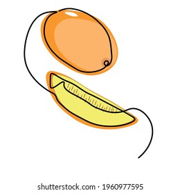 Juicy summer melon in one line. Vector image. Decorate the design of the kitchen, summer menu, food packaging and poster.