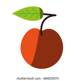 juicy sweet fresh fruit