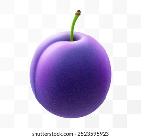 Juicy sweet plum isolated on transparent background. Purple plum fruits, prunes, natural berries, date fruit, fresh organic food. Realistic vector 3d illustration