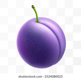 Juicy sweet plum isolated on transparent background. Purple plum fruits, prunes, natural berries, date fruit, fresh organic food. Realistic vector 3d illustration