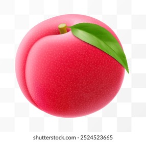 Juicy sweet plum isolated on transparent background. Round red fruits, prunes, red jam natural berries, dark grapes, date fruit, fresh organic food. Realistic vector 3d illustration