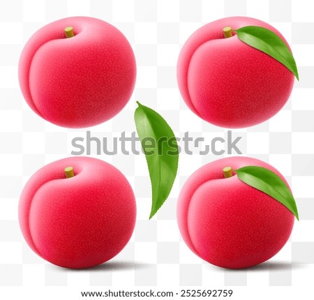 Juicy sweet plum isolated on transparent background. Round red fruits, prunes, red jam natural berries, dark grapes, date fruit, fresh organic food. Realistic vector 3d illustration