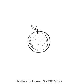 Juicy tangerine with leaf in black isolated on white background. Hand drawn vector sketch illustration in doodle engraved vintage line art style. Juicy winter fruit, citrus, bergamot, tea engredient