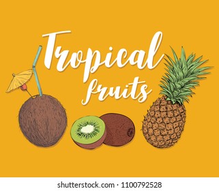 Juicy tropical fruits. Colorful pineapple, kiwi and coconut. Hand drawing vector
