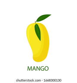 saftige tropische Mango-Früchte einzeln auf weißem Hintergrund. Vektorillustration flach.