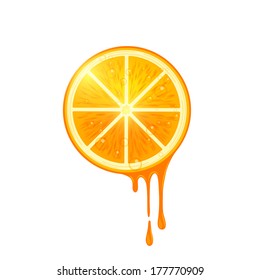 Juicy Vector Orange Slice, Vector illustration.