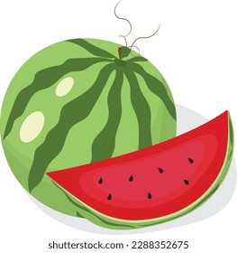 Juicy watermelon. Chopped watermelon. High quality vector illustration.