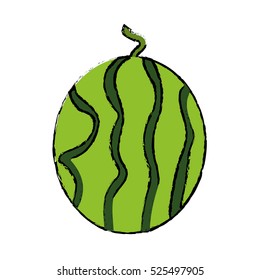 juicy watermelon fruit nature drawing
