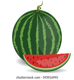 Juicy watermelon isolated on white background. Healthy food concept. Veggie food, eat vitamins.