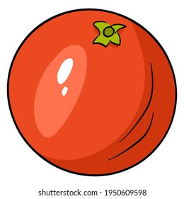 Juicy whole grapefruit. Bright grapefruit. For design and decoration.