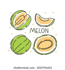 Juicy whole melon and slices set on a white background. Vector abstract illustration.