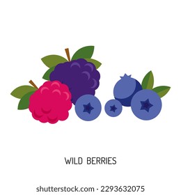 Berry salvaje jugosa aislada en un fondo blanco. Ilustración vectorial de bayas para el diseño