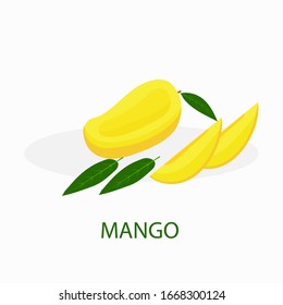 Juicy yellow mango fruit, half, leaves, pieces, isolated on a white background. Vector flat illustration.