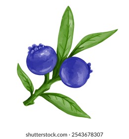 Juicy,ripe wild berries of healthy blueberries.Vector graphics.
