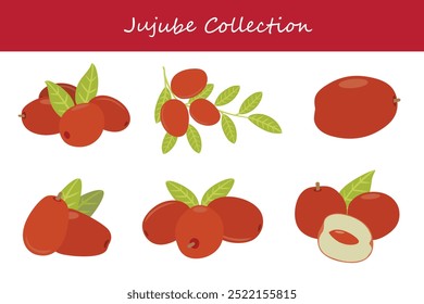 jujube collection in different poses. Vector illustration.