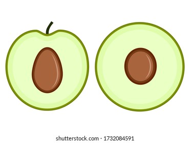 Jujube. Exotic fruit. Healthy food and delicious food. Vector graphics on a white background.