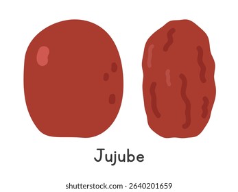 Jujube flat vector illustration. Fresh and dried jujube fruit in cartoon clipart style. Also known as Chinese date or red date. Isolated on white background. Asian fruit concept.