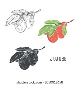 Jujube. Fruit And Leaves. Sketch. Set. A Design Element.