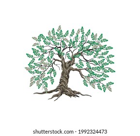 vector de árbol de jujujube, árbol antiguo aislado en blanco