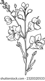 July Birth Flower Larkspur Drawing, minimalist july birth flower larkspur tattoo, larkspur july flower tattootattoo simple delphinium flower drawing, hand drawing botanical black larkspur drawings.