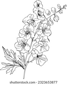 Geburtsblume Larkspur Zeichnung, minimalistisches Blumenschaumturm-Tattoo, Dunkelspur-Blumentätowierung, Junggeburt-Tattoo, Larkspur-Blütenlinien-Zeichnungen, Delphinium-Vektorgrafik.