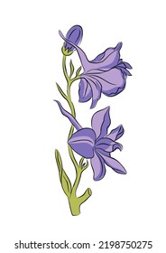 Geburtsmonat Juli Blume Larkspur bunte Vektorgrafik. Delphiniumpflanze handgezeichnet Umriss farbige Skizze. Perfekt für moderne Schmuck, Logo, Tätowierung, Drucke, Einladungen, Wandkunst-Design.