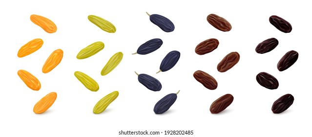 Jumbo Golden, Green Kashmari, Blue, Brown Thompson And Black Flame Raisins Hang In The Air Isolated On White Background. Realistic Vector Illustration.