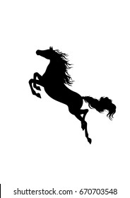 jump up horse