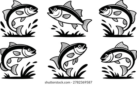 Jump Salmon Trout Fish