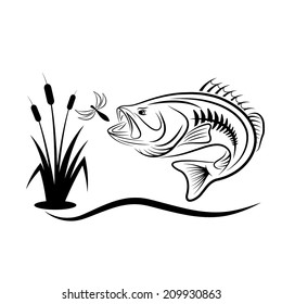 jumping bass for dragonfly