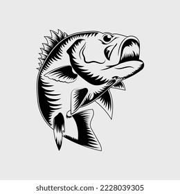 Jumping bass fish vector illustration