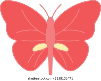 Jumping bean moth bean moth moth butterfly beetle