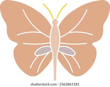Jumping bean moth bean moth moth butterfly beetle