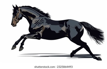 jumping black horse,white background ，jumping horse，black horse，running hourse,