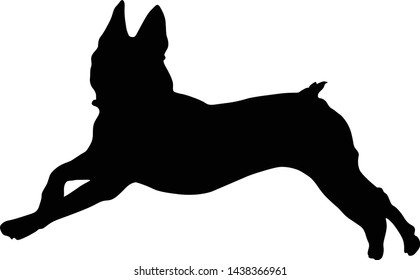 Jumping Boston Terrier Dog, Silhouette, North America